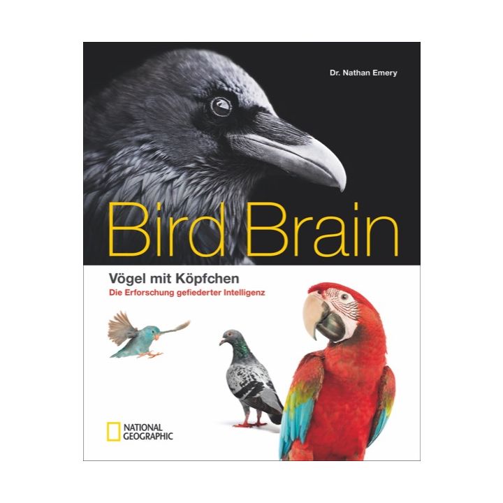 Bird Brain *