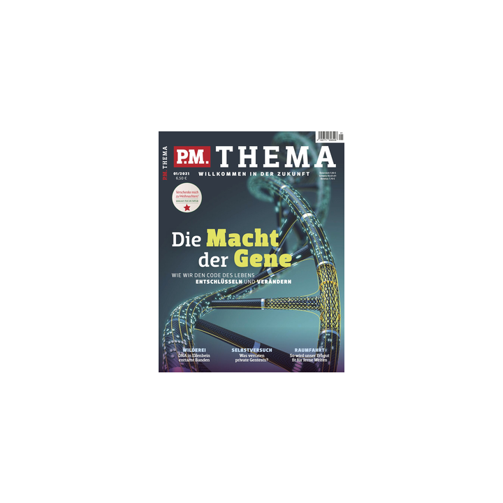 P.M. THEMA 01/2021