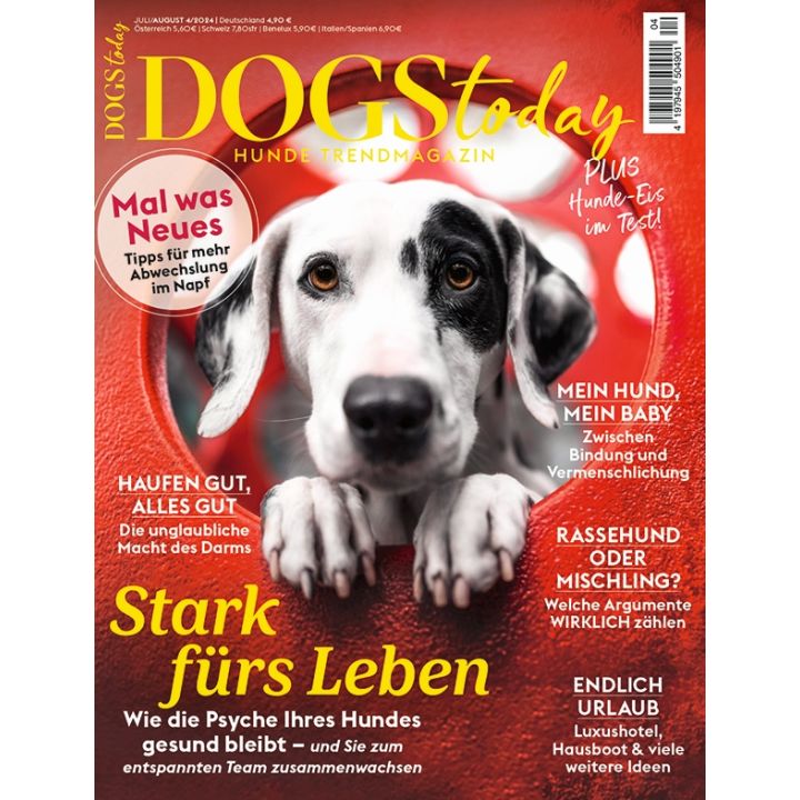 Dogs Today zum Verschenken