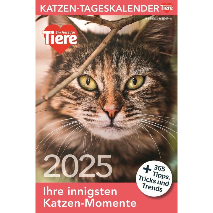 Katzen Tageskalender 2025