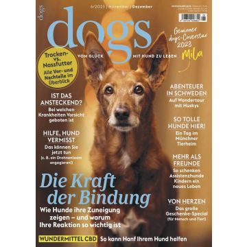 Dogs 2023/06 - digital