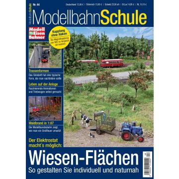 Modellbahn Schule 44 - Wiesen-Flächen - digital