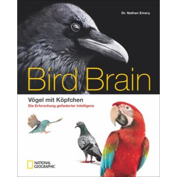Bird Brain *