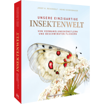 Unsere einzigartige Insektenwelt