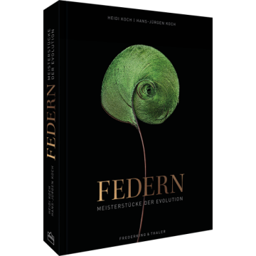 Federn