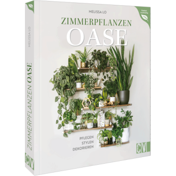 Zimmerpflanzen Oase