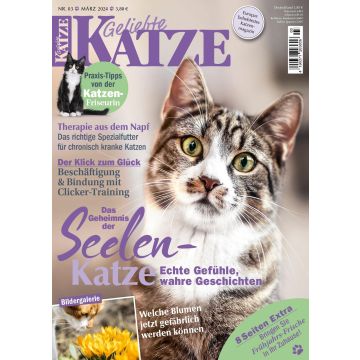 Geliebte Katze 2024/03