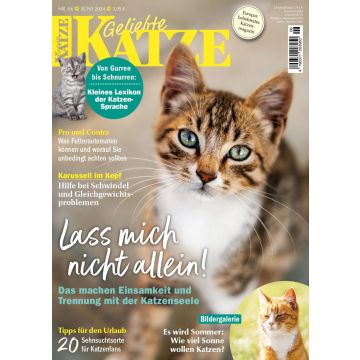 Geliebte Katze 2024/06