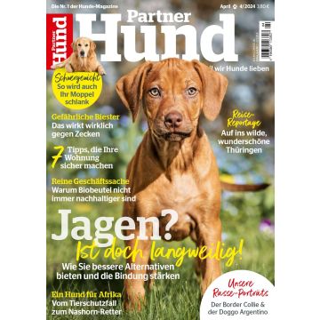 Partner Hund 2024/04