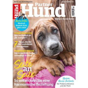 Partner Hund 2024/07