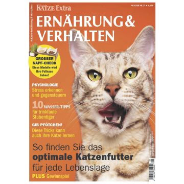 Katzen Ernährung & Verhalten