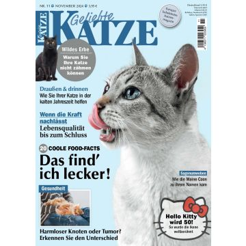 Geliebte Katze 11/2024