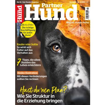 Partner Hund 11/2024