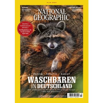 National Geographic Plus 2024