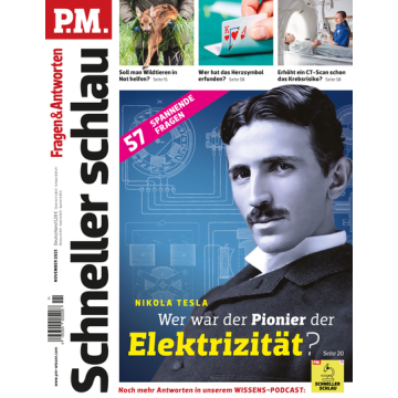 PM SCHNELLER SCHLAU 2023/11